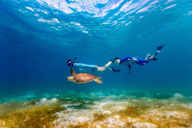Half Day Snorkelling Cenotes and Turtles From Cancun and Riviera Maya - Maximum Travelers