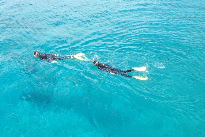 Half Day Snorkelling Experience With a Dive Boat in Kos Greece - Meeting Point and Transportation Details
