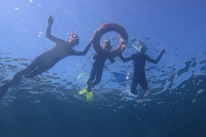 Half Day Snorkelling Experience With a Dive Boat in Kos Greece - Included Equipment and Amenities