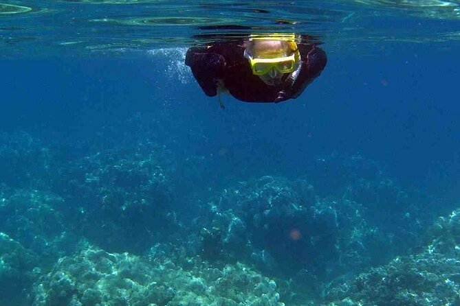 Half Day Snorkelling Experience With a Dive Boat in Kos Greece - Booking and Cancellation Policies