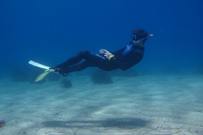 Half Day Snorkelling Experience With a Dive Boat in Kos Greece - Guest Reviews and Ratings