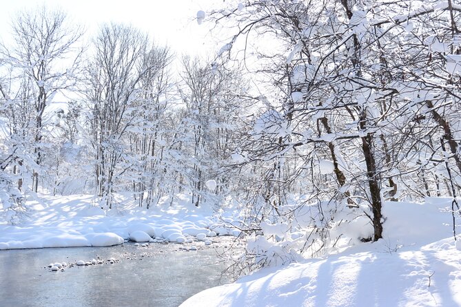 Half Day - Snow View Rafting in Niseko - Participant Guidelines and Restrictions