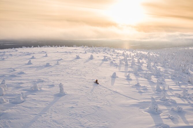 Half-Day Snowmobile Tour in Lapland - Quick Points