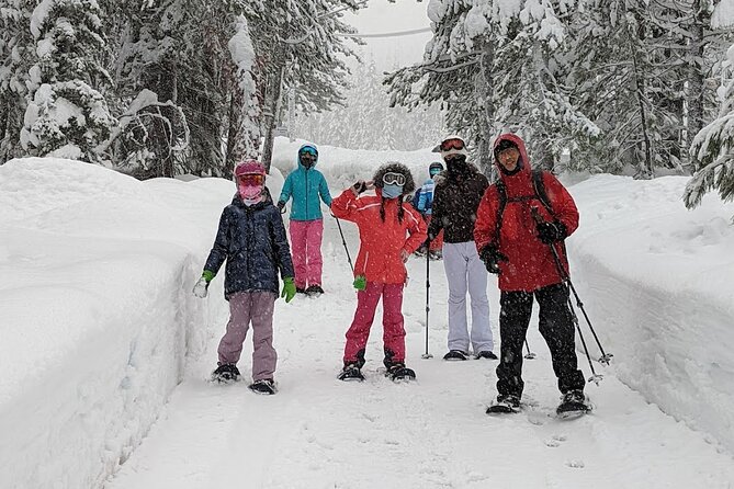 Half Day Snowshoe Hike in Tahoe National Forest - Group Size and Accessibility