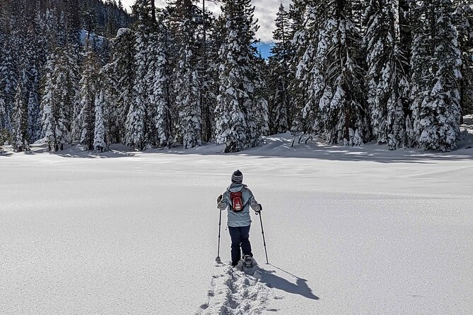 Half Day Snowshoe Hike in Tahoe National Forest - Reviews and Feedback