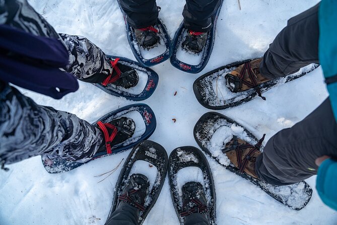 Half Day Snowshoe Hike in Tahoe National Forest - Packing and Preparation
