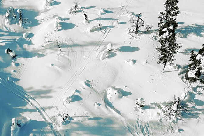 Half Day Snowshoe Hiking Adventure in Levi Lapland - Guides and Expertise Provided
