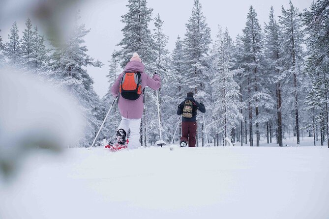 Half Day Snowshoe Hiking Adventure in Levi Lapland - Scenic Views and Natural Beauty