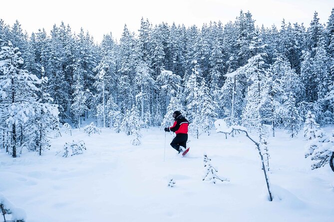Half Day Snowshoe Hiking Adventure in Levi Lapland - Booking Details and Support