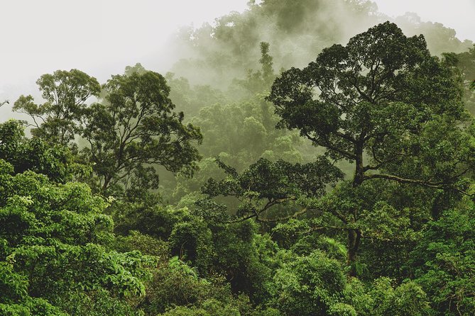 Half Day : Sok River + Monkey Temple + View Point - Scenic Viewpoint