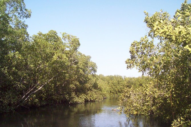 Half-Day Somone Lagoon and Bandia Park Safari From Dakar - Boat Ride Across Somone Lagoon