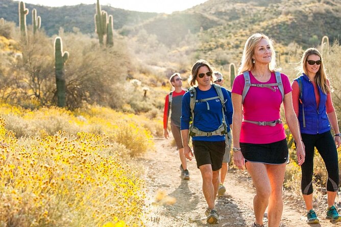 Half-Day Sonoran Desert Hiking Tour - Key Points