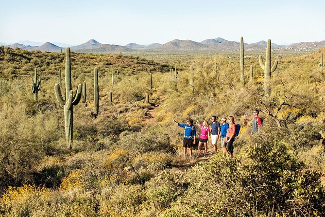 Half-Day Sonoran Desert Hiking Tour - Meeting and Pickup Location