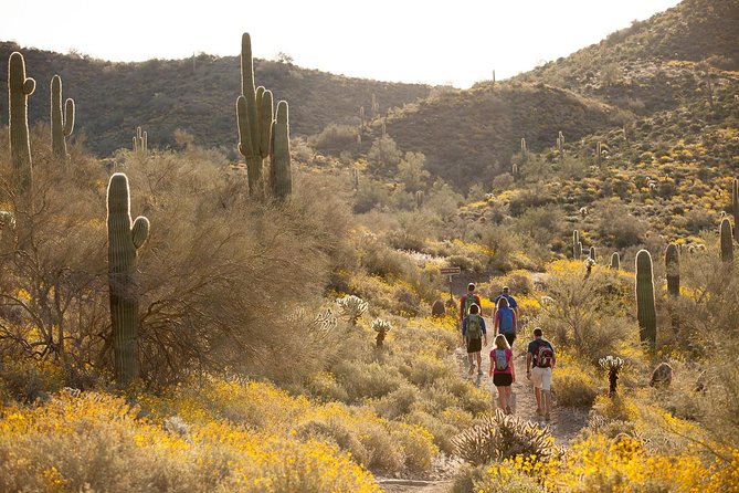 Half-Day Sonoran Desert Hiking Tour - Pricing and Booking