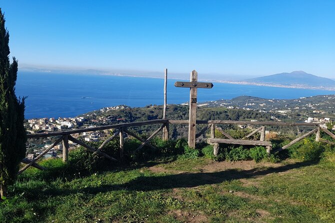Half-Day Sorrento Private Tour by Vespa - Health and Accessibility Considerations