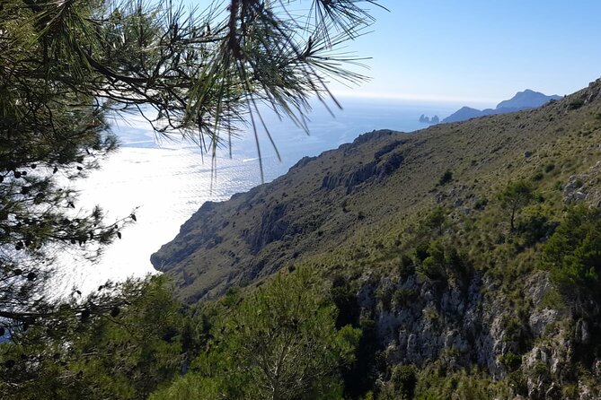 Half-Day Sorrento Private Tour by Vespa - Tips for Your Adventure