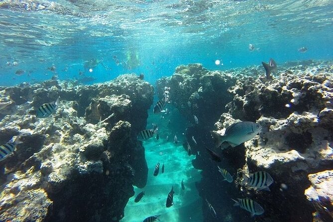 Half Day Sosua Sunset Cruise With Snorkeling - Traveler Considerations