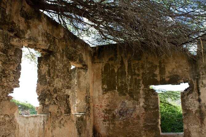 Half-Day Spanish Lagoon Mangrove Trail With Private Guide - Discovering Archaeological Wonders