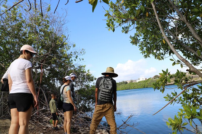 Half-Day Spanish Lagoon Mangrove Trail With Private Guide - Visiting Balashi Gold Mill Ruins
