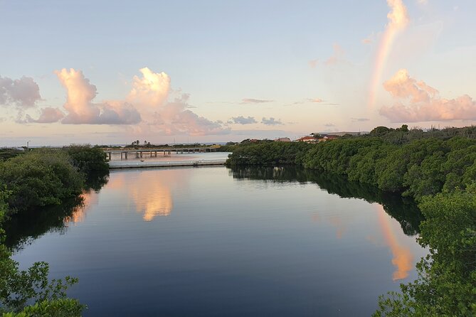 Half-Day Spanish Lagoon Mangrove Trail With Private Guide - Dining at Ricardos Restaurant