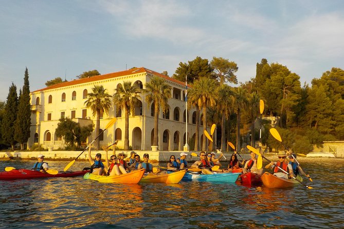Half-Day Split Sea Kayak Adventure - Kayaking Along the Coast