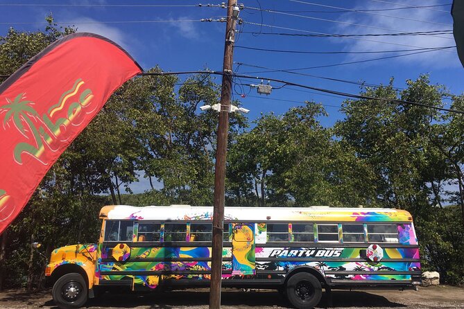 Half Day St. Kitts Party Bus City Excursion and Beach - Transportation and Amenities