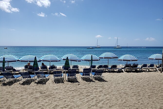 Half Day St. Kitts Party Bus City Excursion and Beach - Customer Feedback Highlights