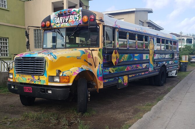 Half Day St. Kitts Party Bus City Excursion and Beach - Beach Visit and Relaxation