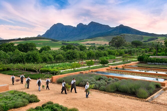 Half Day Stellenbosch Winelands Private Tour From Cape Town - Positive Guest Experiences