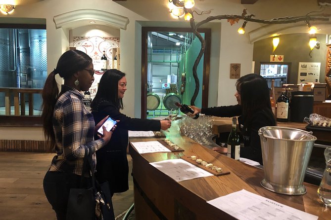 Half Day Stellenbosch Winelands Private Tour From Cape Town - Exploring Stellenbosch Wineries