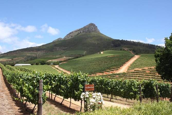 Half-Day Stellenbosch Winelands Tour From Cape Town - Included Experiences