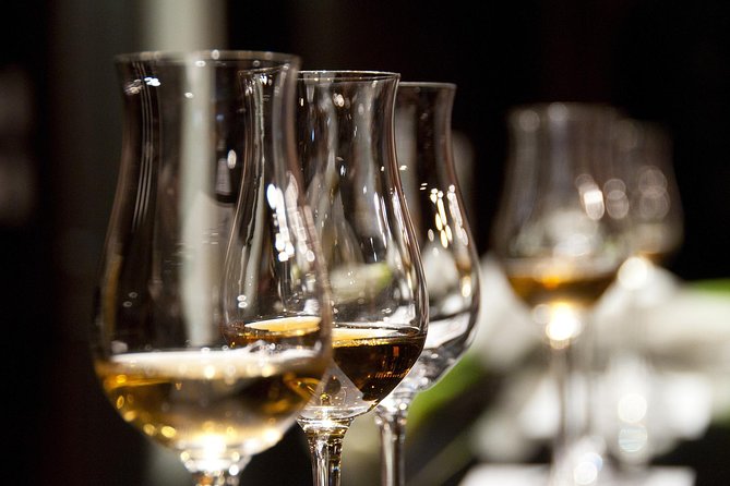 Half-Day Stellenbosch Winelands Tour From Cape Town - Preparing for the Tour