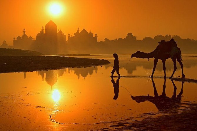 Half Day Sunrise Tour of Taj Mahal by TUK TUK - Special Offers and Booking
