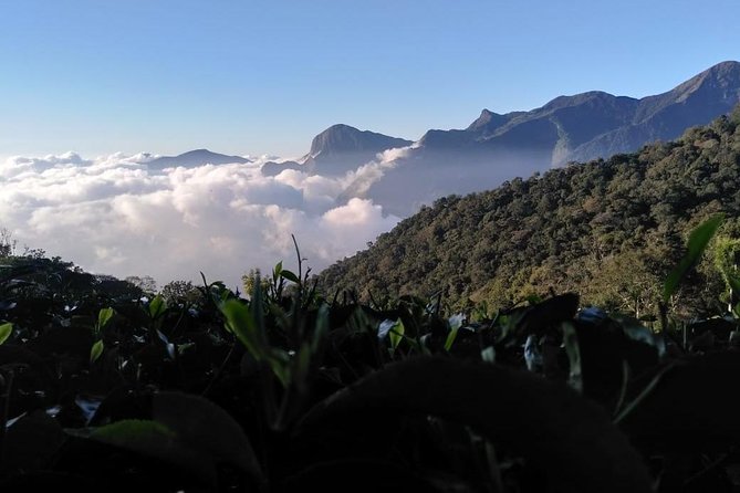Half Day Sunrise Tour on Top Station, Munnar ( By Munnar Info) - Additional Information