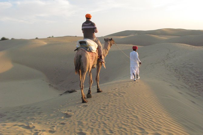 Half Day Sunset Camel & Cultural Adventure - Itinerary and Included Activities