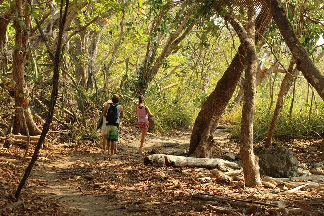 Half Day Surf and Adventure in Montezuma - Details of the Surf Lesson