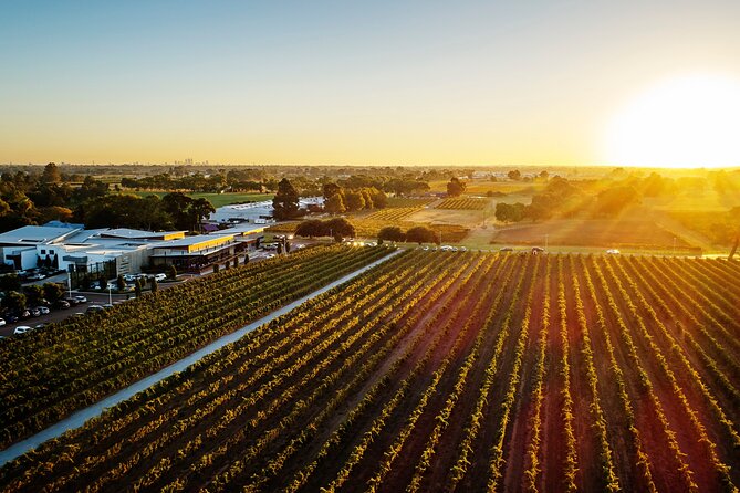 Half-Day Swan Valley Winery & Brewery - Tour Requirements and Restrictions