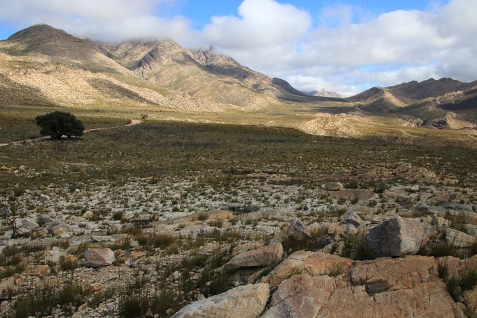 Half-Day Swartberg Pass PRIVATE Tour (Including Lunch & Transfer - Oudtshoorn) - Reviews and Feedback