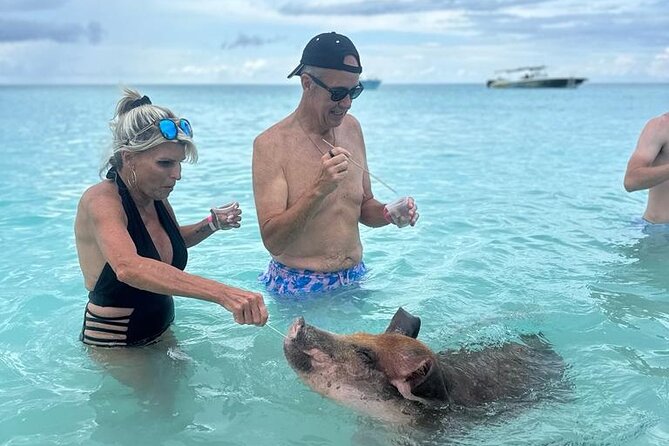 Half Day Swimming Pigs on Rose Island, Snorkeling and Lunch - Boat Ride and Island Exploration
