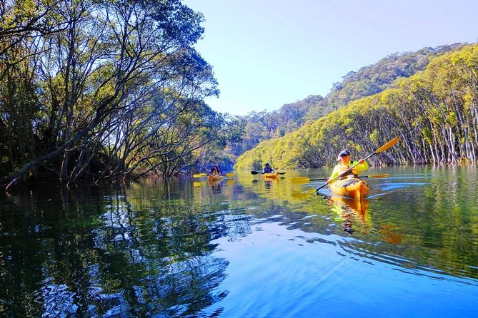 Half-Day Sydney Middle Harbour Guided Kayaking Eco Tour - Experience Highlights