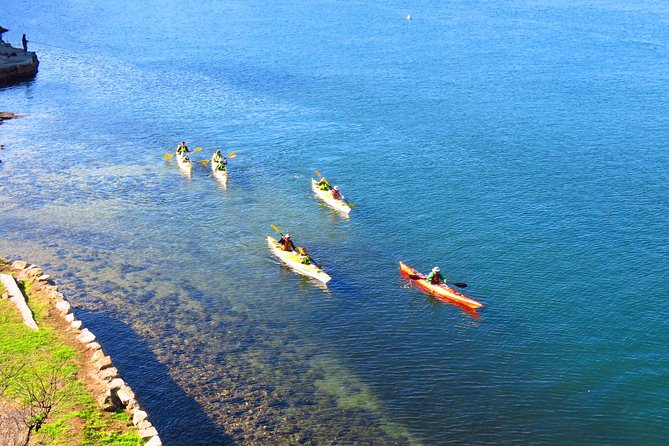 Half-Day Sydney Middle Harbour Guided Kayaking Eco Tour - Meeting Information