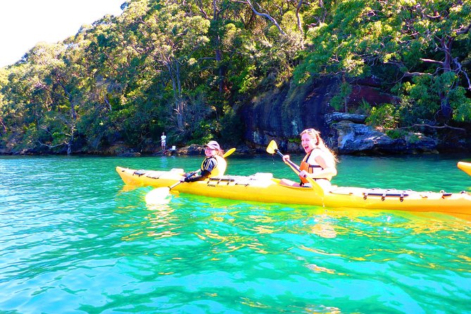 Half-Day Sydney Middle Harbour Guided Kayaking Eco Tour - Participant Reviews
