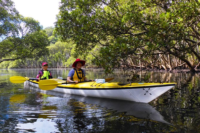 Half-Day Sydney Middle Harbour Guided Kayaking Eco Tour - Picnic on the Beach