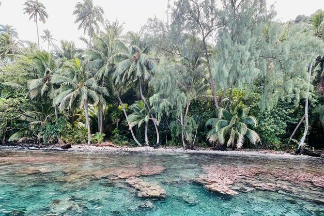 Half day Tahiti Peninsula and Teahupoo boat tour (shared boat) - An In-Depth Look at the Tour Experience