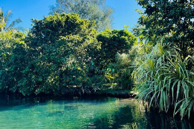 Half day Tahiti Peninsula and Teahupoo boat tour (shared boat) - FAQ