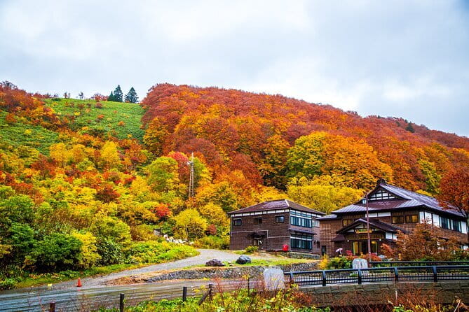 Half Day Takayama Inari Shrine Tour With Licensed Guide - Tour Highlights