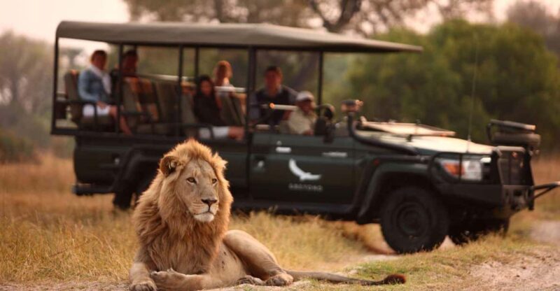 Half-Day Tala Game Reserve & Lion Park Safari From Durban - Key Points