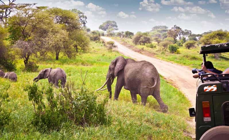 Half Day Tala Game Reserve & Natal Lion Park From Durban - Key Points