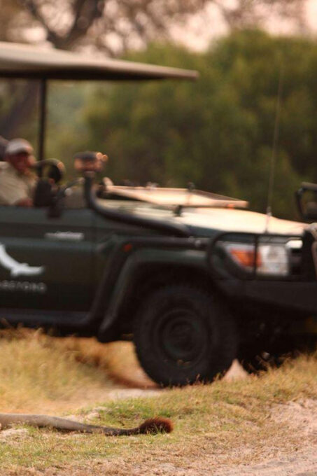 Half Day Tala Game Reserve & Natal Lion Park From Durban - Accessibility and Pickup Options