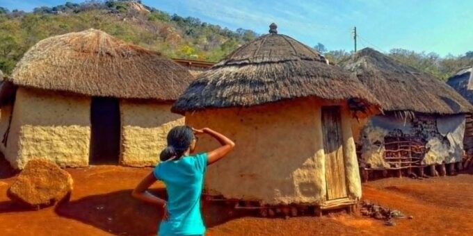 Half Day Tala Game Reserve & Natal Lion Park From Durban - Accessibility and Pickup